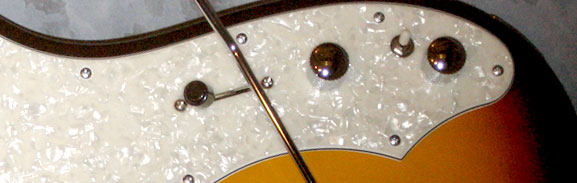 Peekamoose Guitar